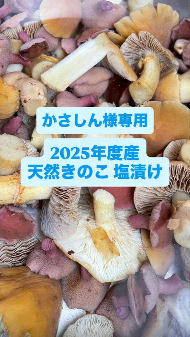 【かさしん】2025年度産 天然きのこ 塩漬け600g 送料込み！