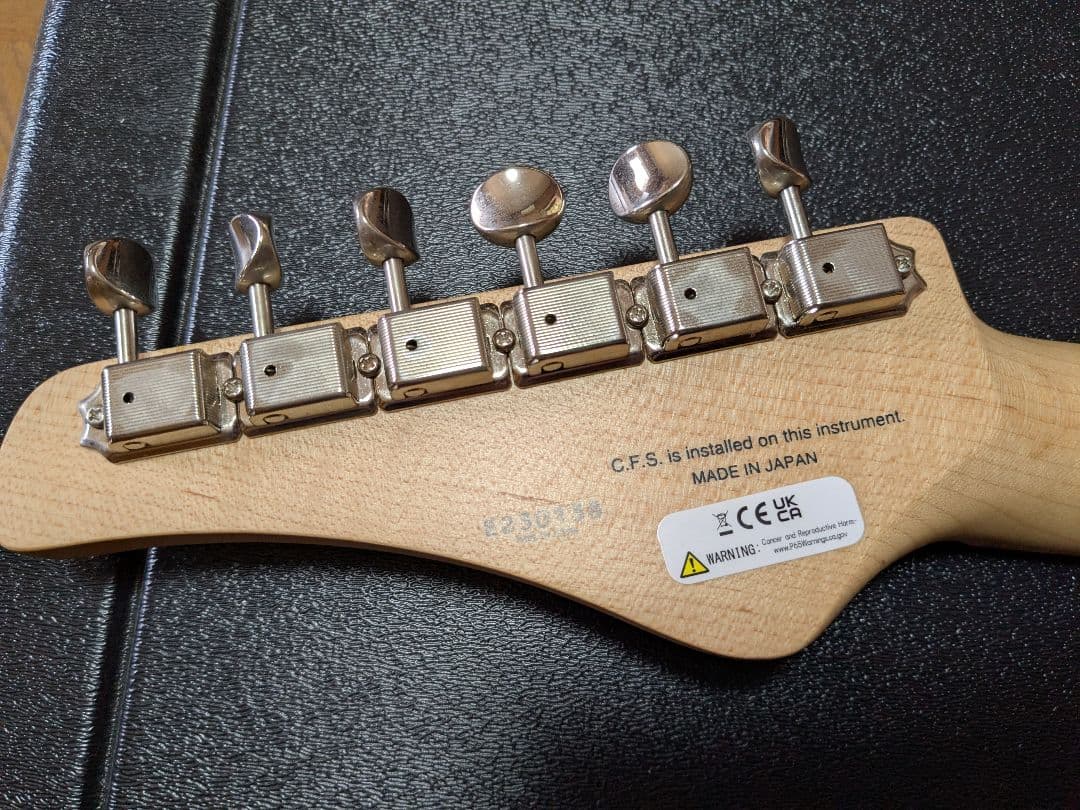 FUJIGEN フジゲン Expert EOS-ASH-M WB エレキギター