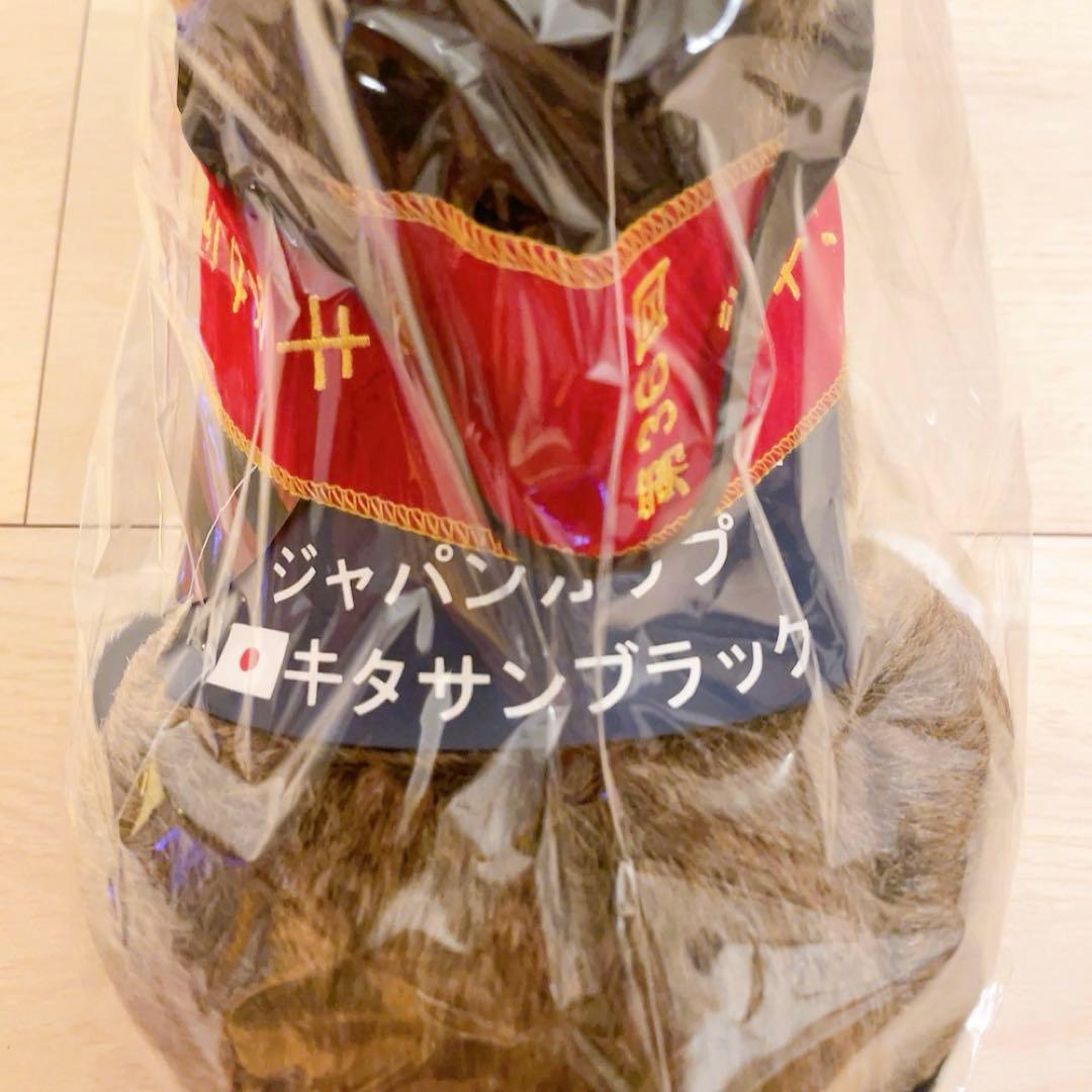 競馬ぬいぐるみ　ジャパンカップ　キタサンブラック