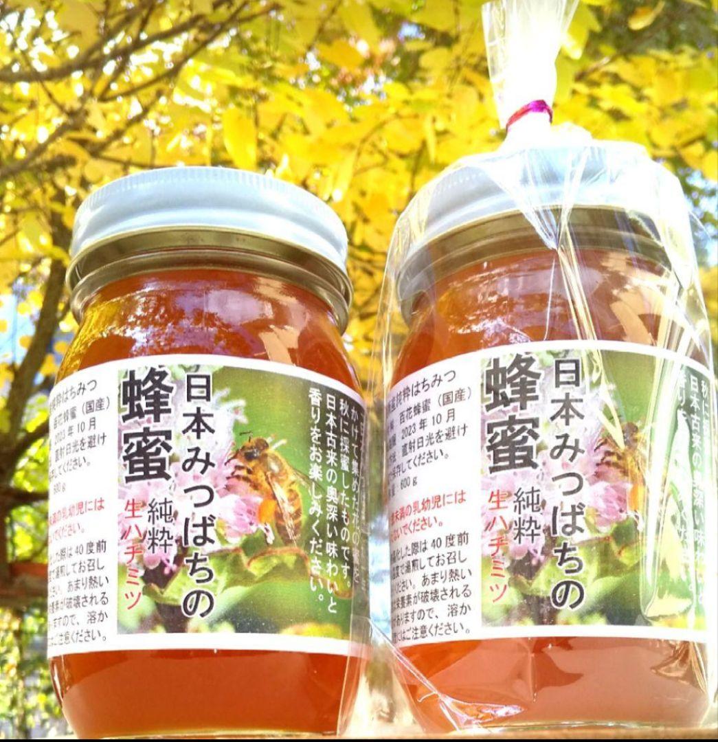日本みつばち採りたて(生巣蜜)421g＋蜂蜜600g×2本宮城県産