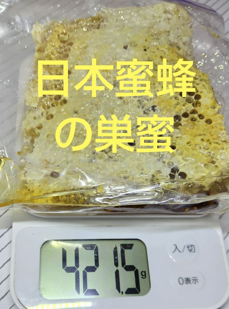 日本みつばち採りたて(生巣蜜)421g＋蜂蜜600g×2本宮城県産