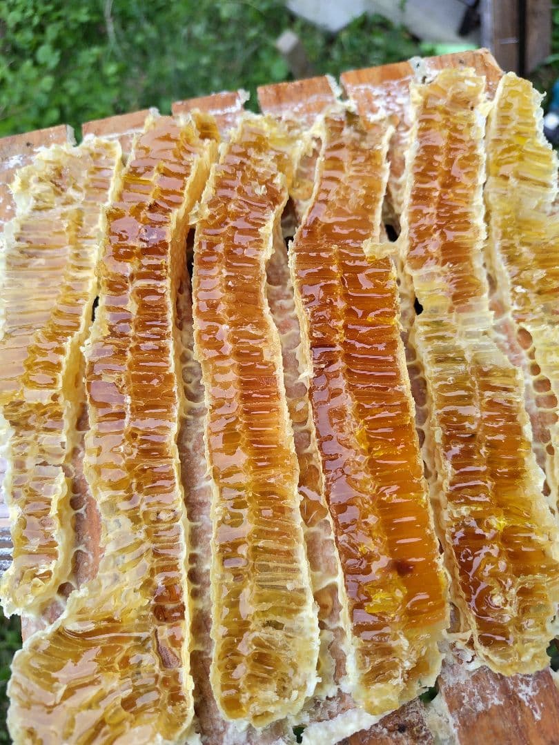 日本みつばち採りたて(生巣蜜)421g＋蜂蜜600g×2本宮城県産