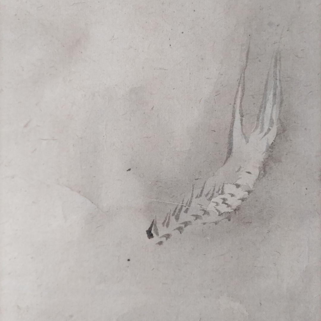 龍と女性の図 掛軸　Y270