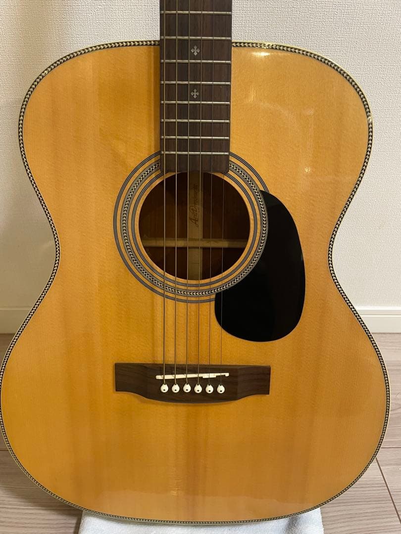 アコースティックギター aria af501