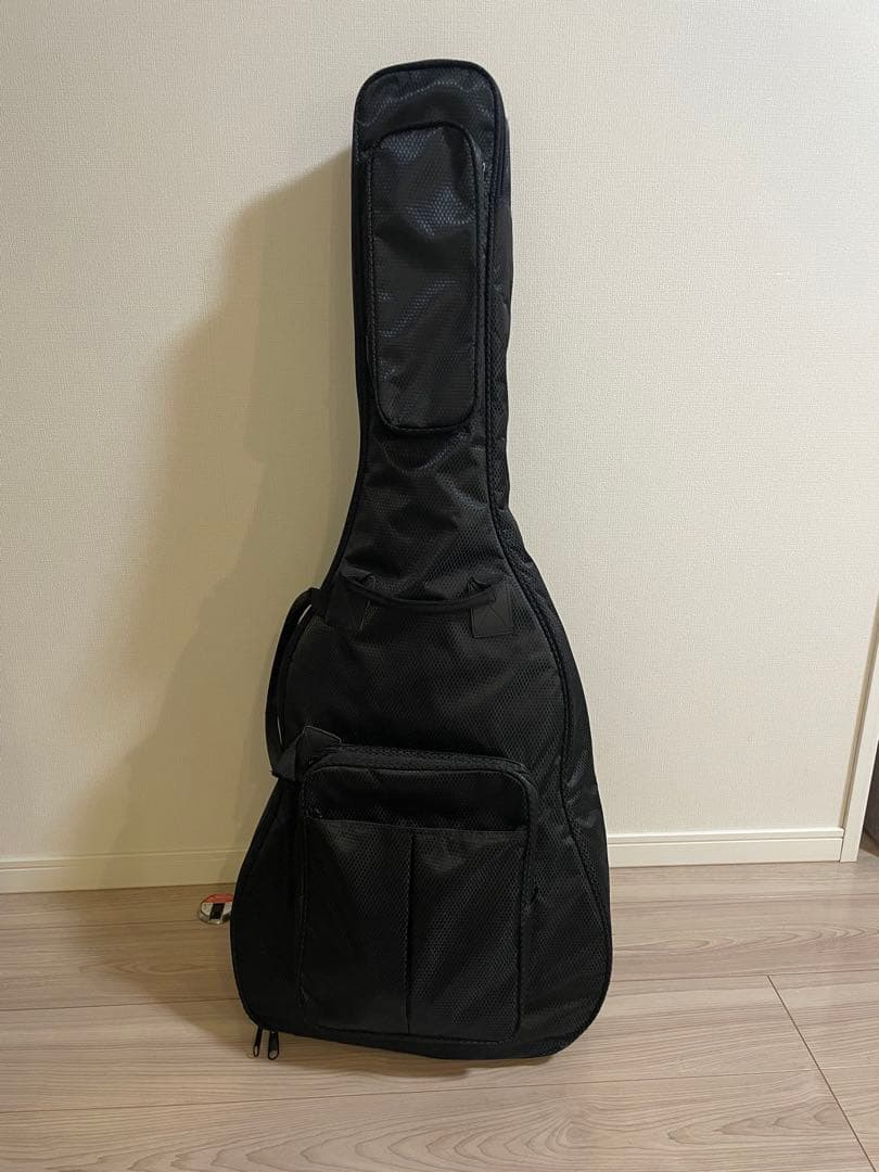 アコースティックギター aria af501