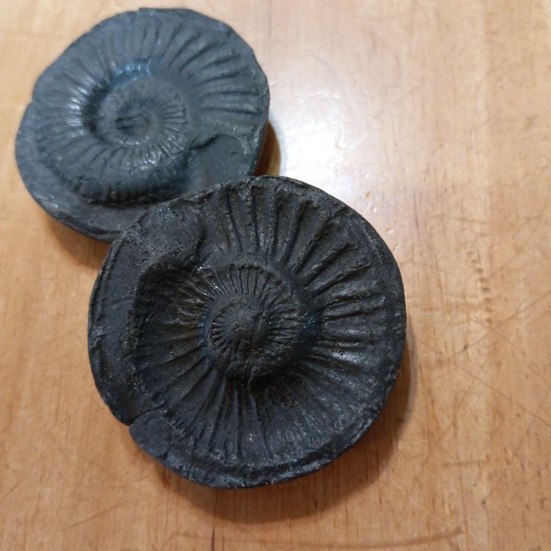 ネパールムクチナート産出。黒色アンモナイト化石 大きいサイズ(希少）