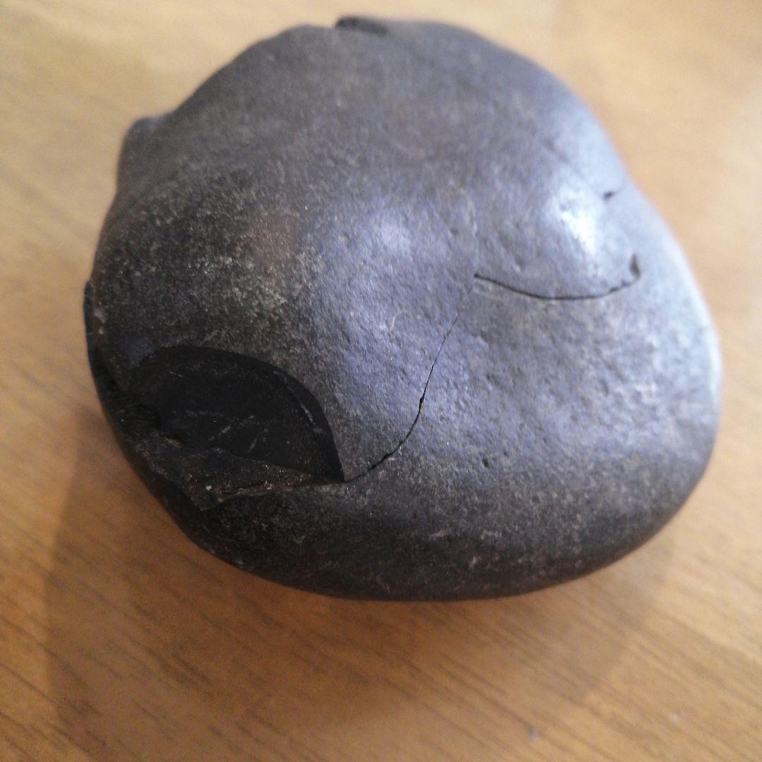 ネパールムクチナート産出。黒色アンモナイト化石 大きいサイズ(希少）