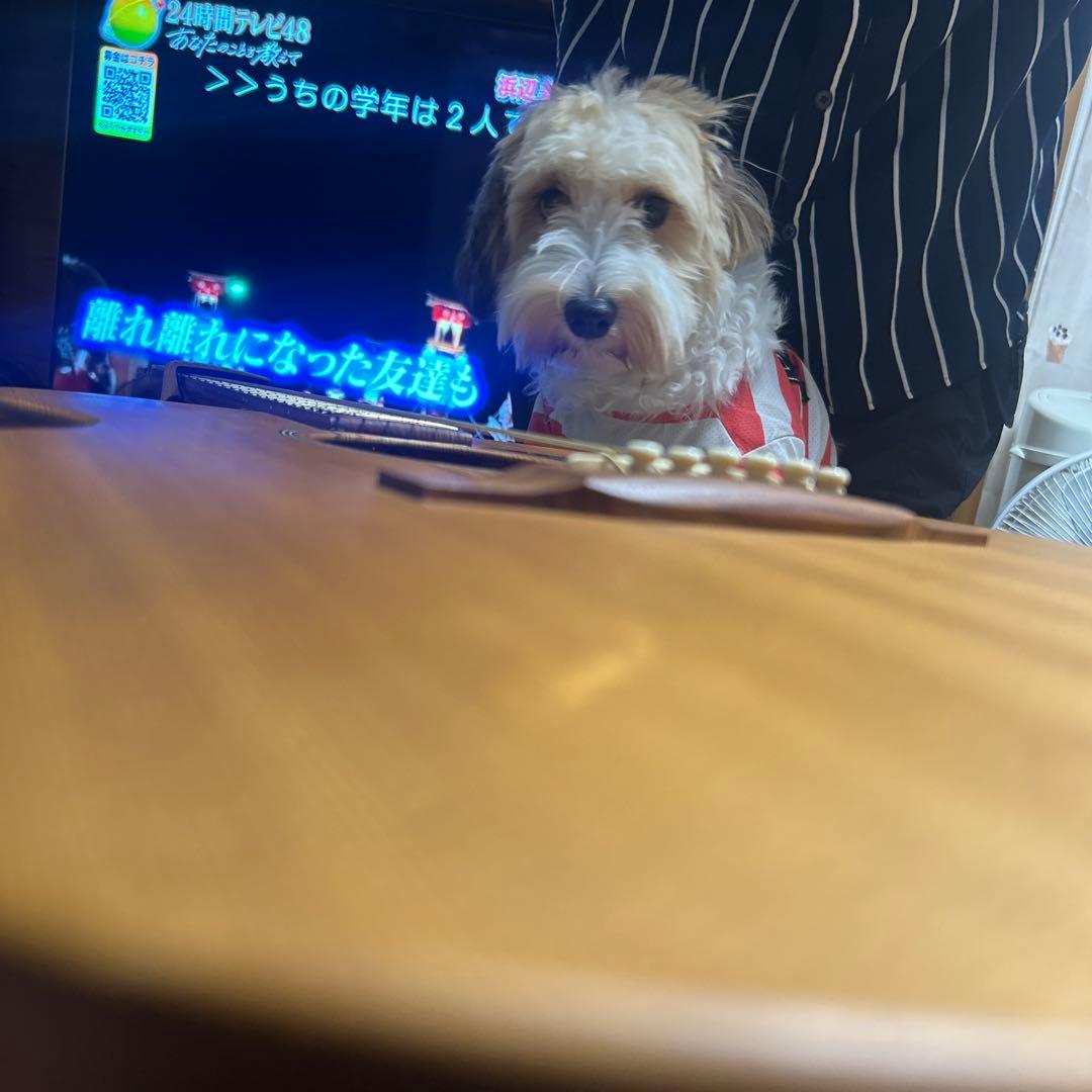 マーティン　000x1