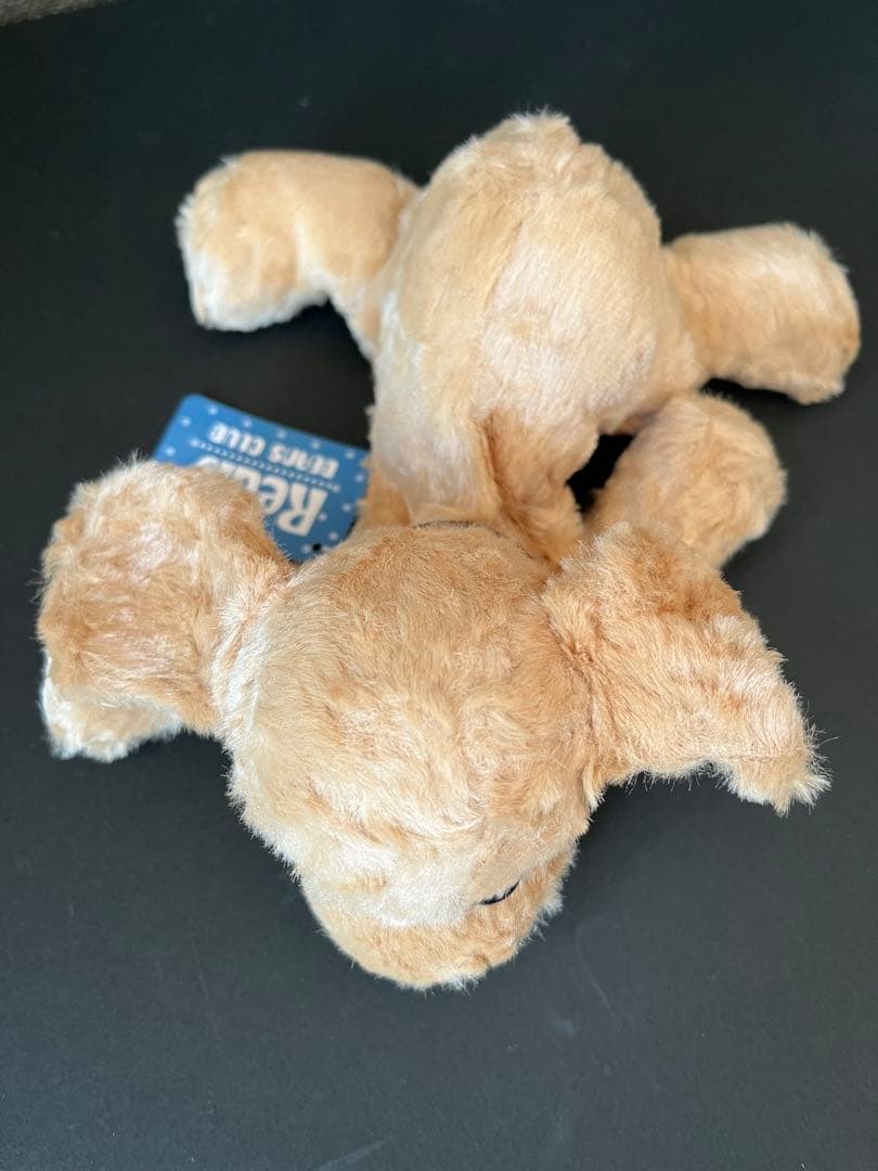 コモアンドレイ　ぬいぐるみ レドリィ 小犬のルーク　犬