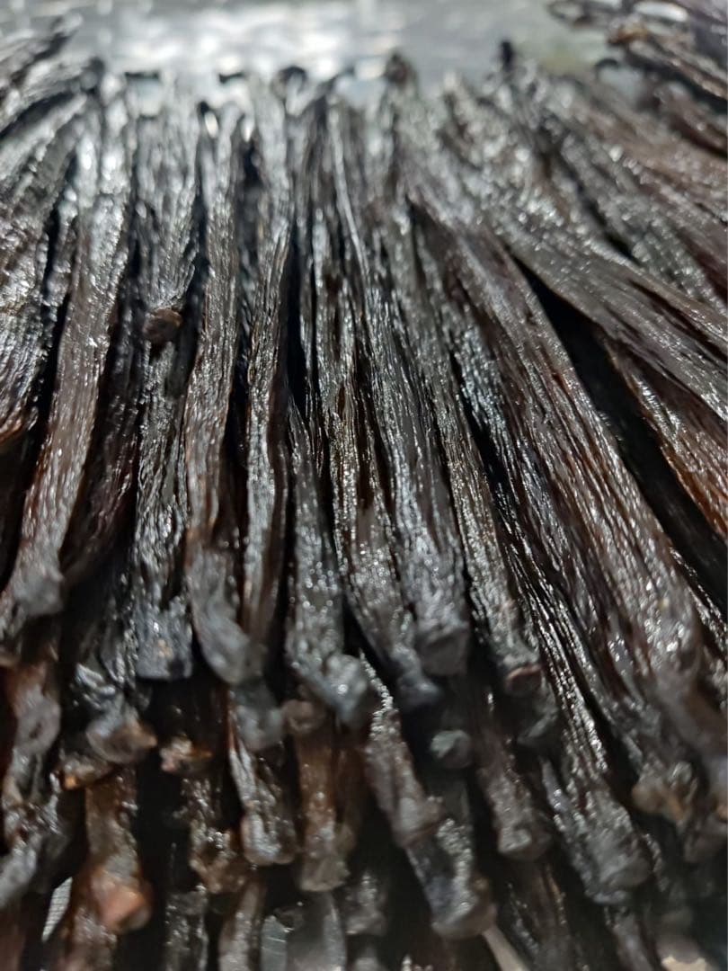 セール中【通常品】バニラビーンズ　タヒチ種　インドネシア産　Aグレード　1kg