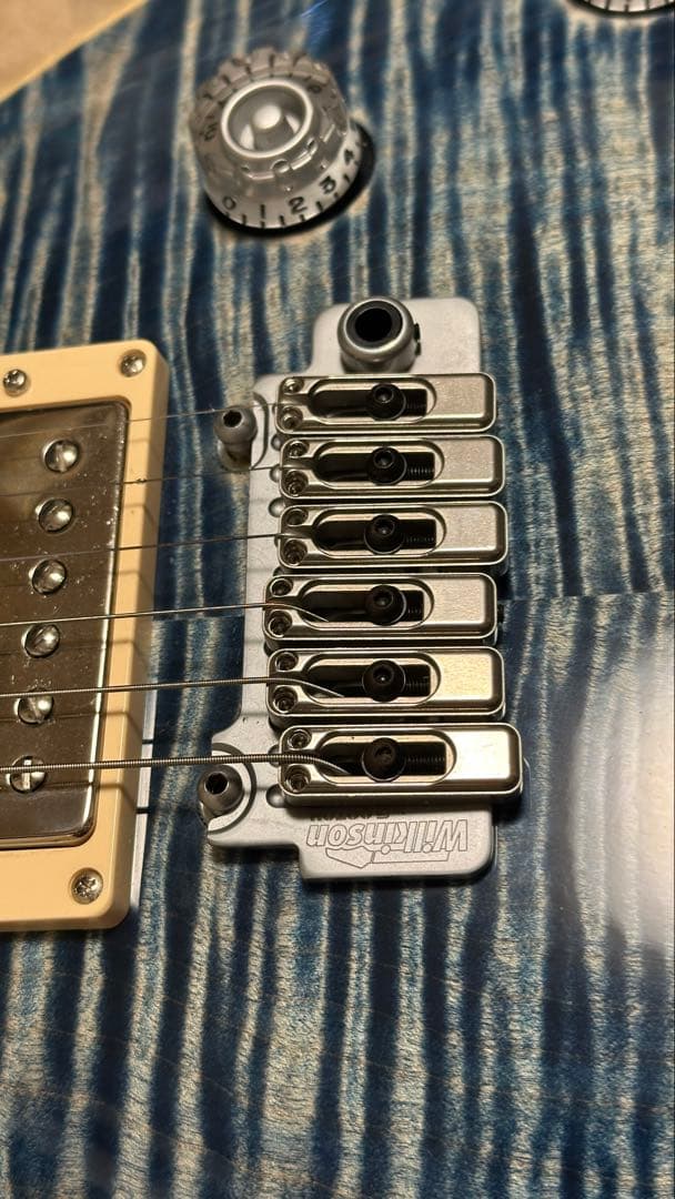 T's Guitars Arc-STD/Trans Blue Denim 超美品