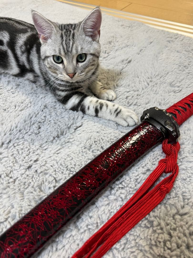 赤い柄の鋼製刀　1113 模造刀 赤 レッド アンティーク 美術品