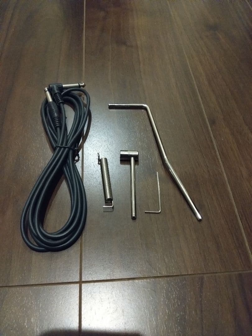 PRS custom24 SE グリーン ソフトケース付き