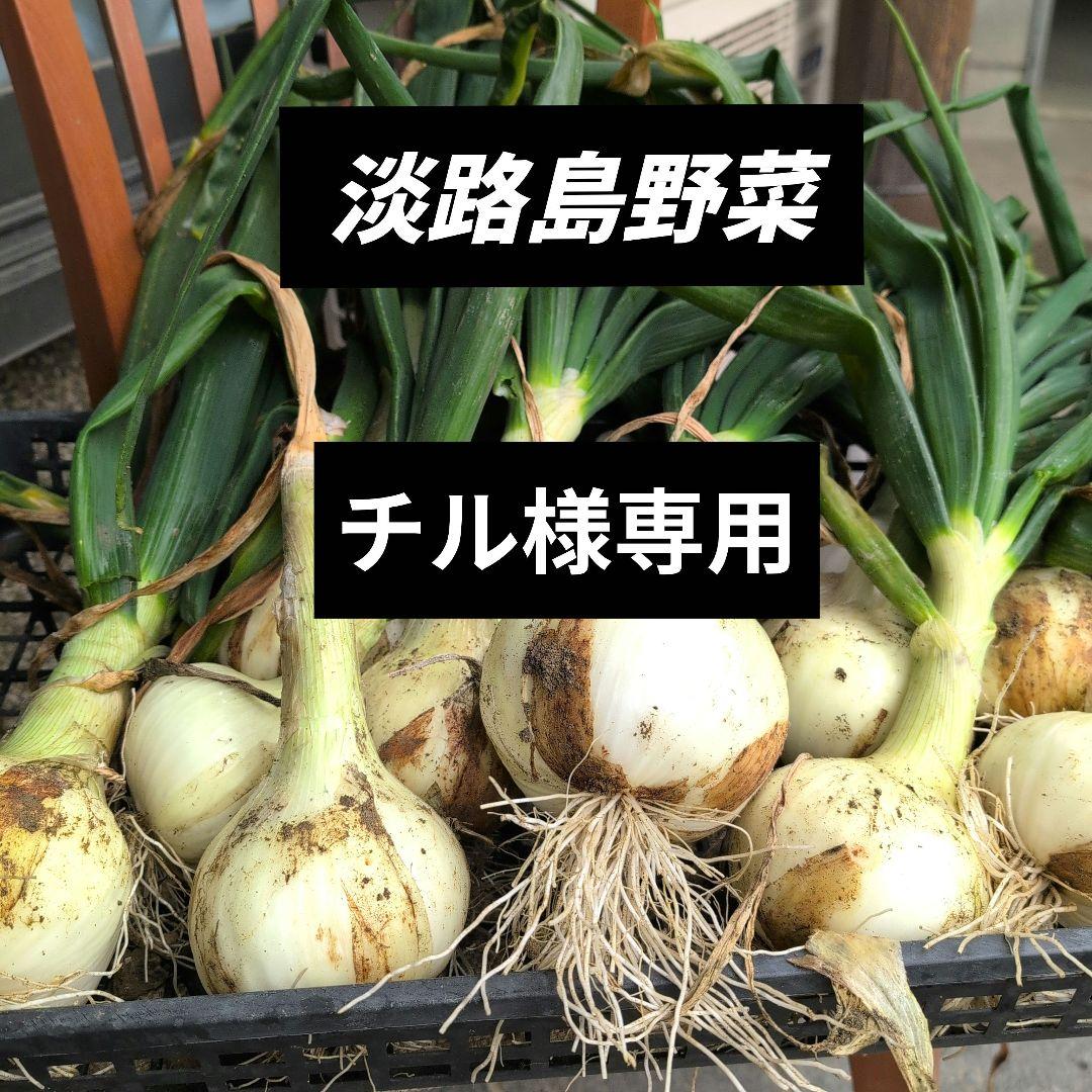 淡路島野菜100サイズ