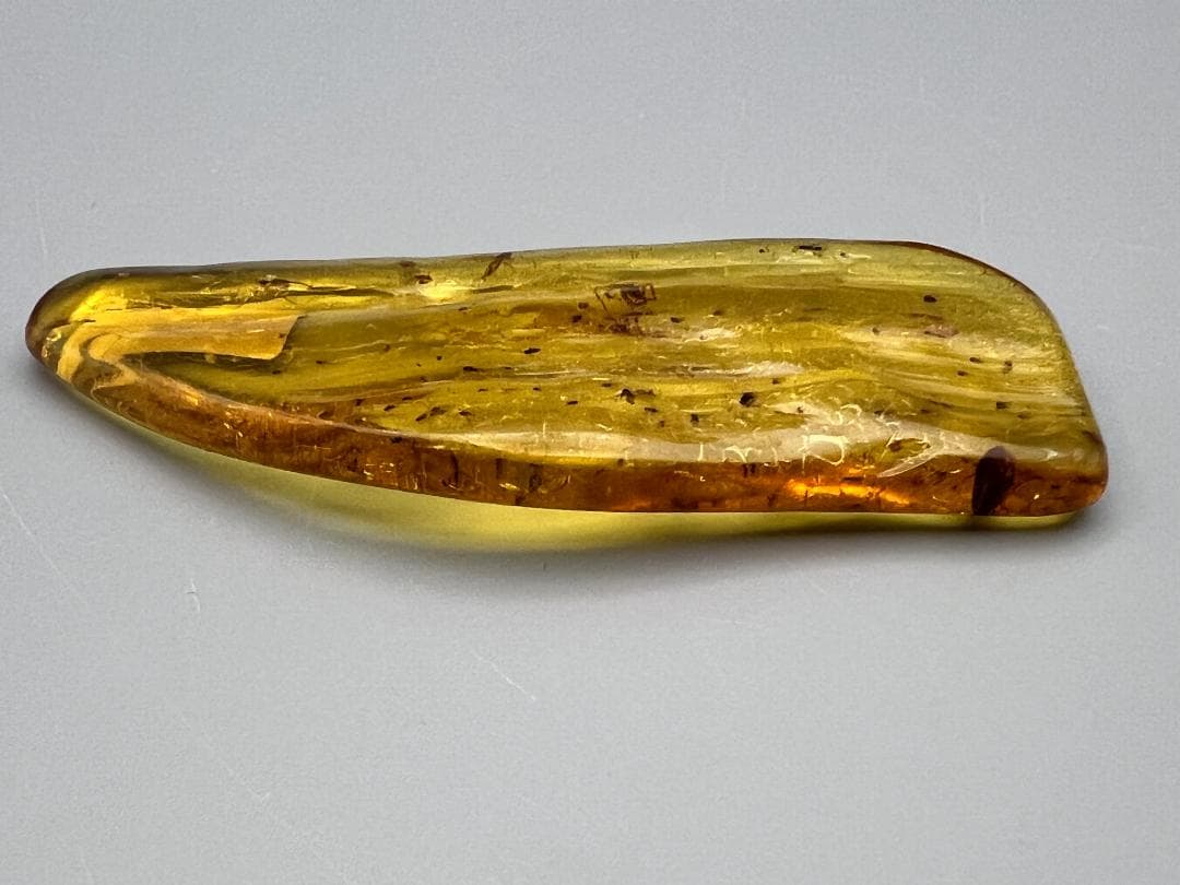 虫入り琥珀　蜘蛛　蚊　大量小さい虫内包　バルティックアンバー　バルト海沿岸地域産