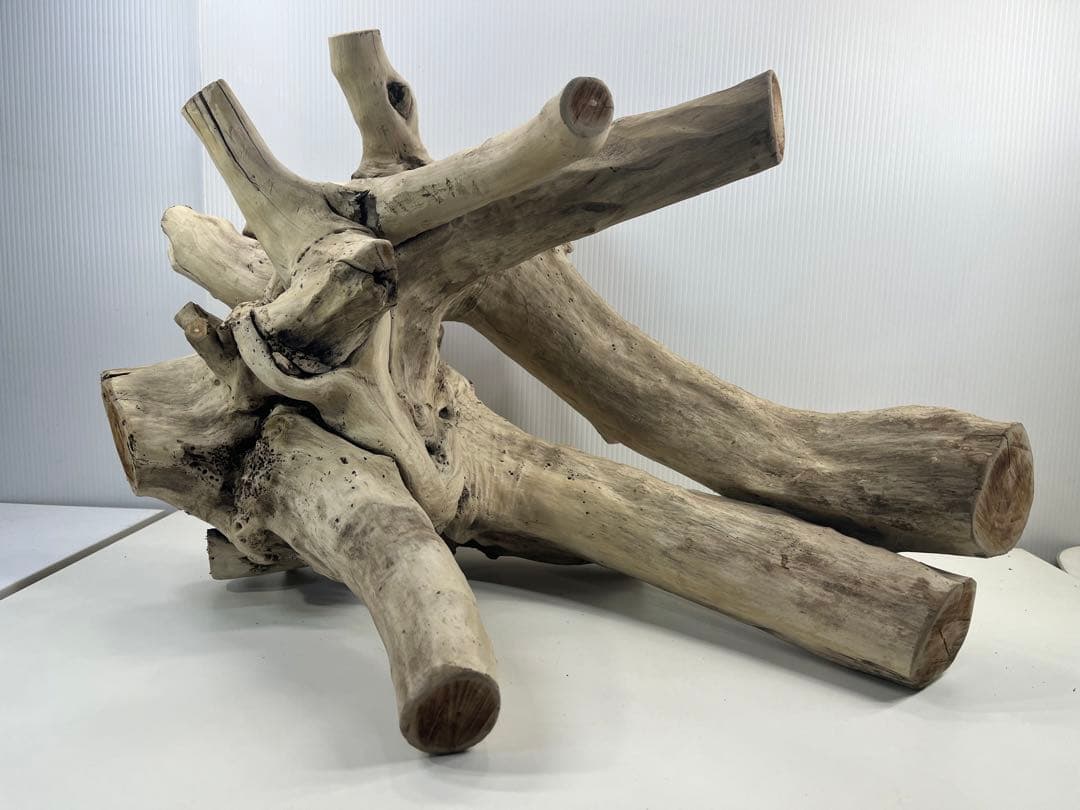 V64大型流木 アク抜き済み流木 爬虫類シェルター 登り木 インテリア 生け花