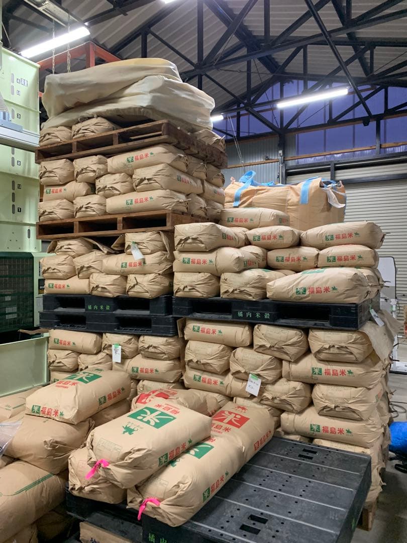 コシヒカリ　令和７年産　玄米30ｋｇ　引き取りのみ