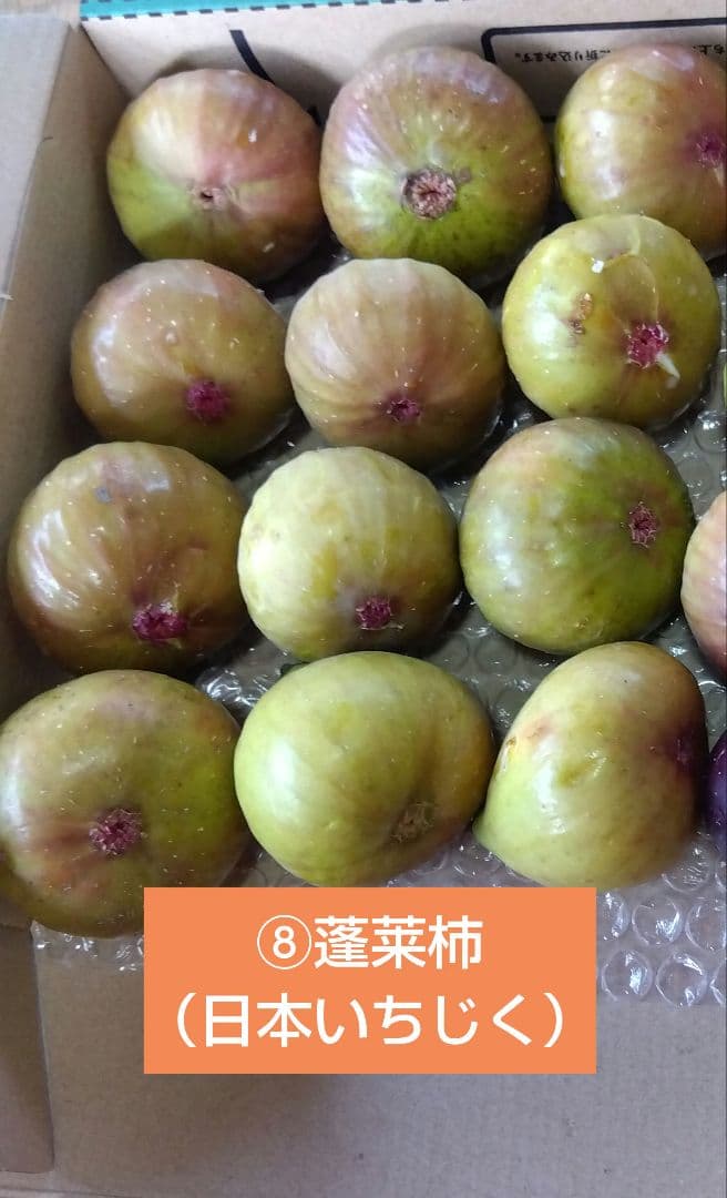 無花果（いちじく）多品種　コンパクトBOX　農薬不使用です