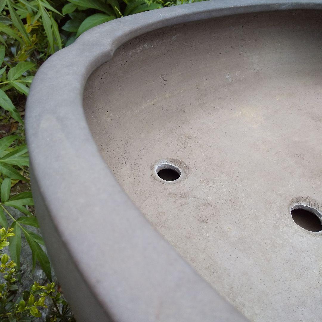 常滑焼 盆栽鉢 松柏類 大品『松下陶園』泥鉢 泥物 外縁 小判 隅入 袋形 切足