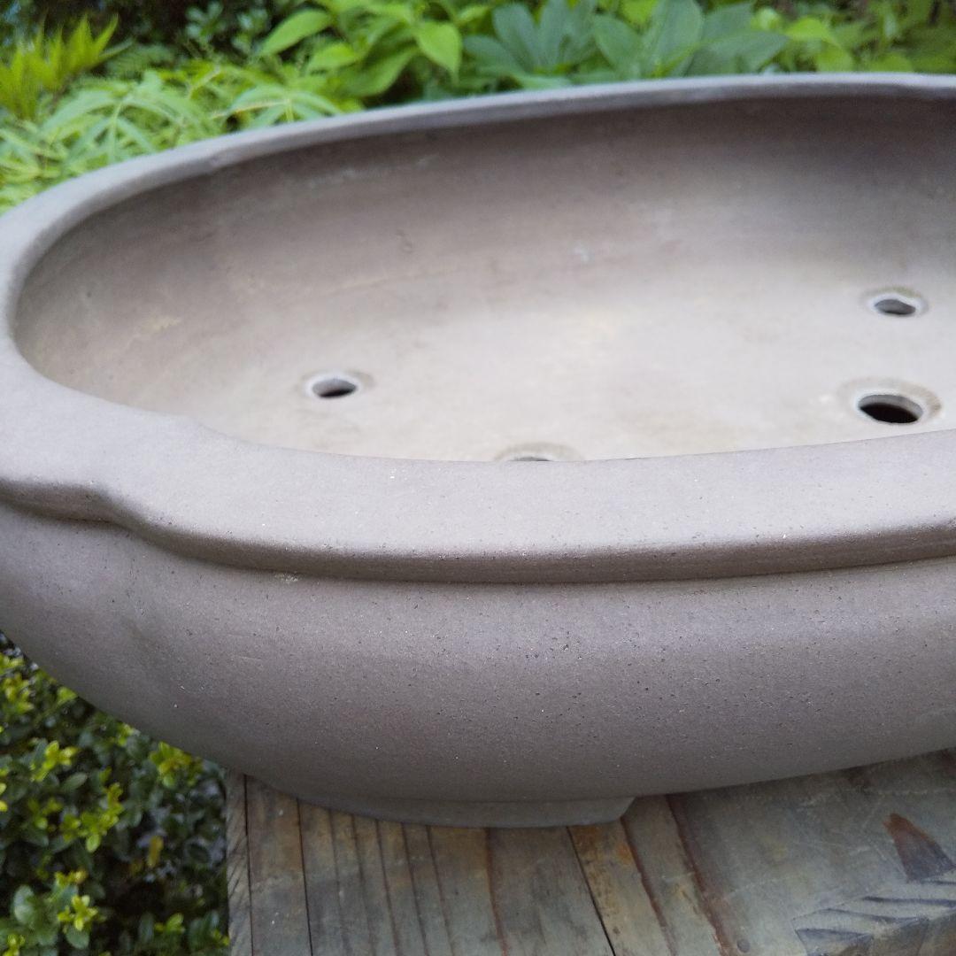 常滑焼 盆栽鉢 松柏類 大品『松下陶園』泥鉢 泥物 外縁 小判 隅入 袋形 切足