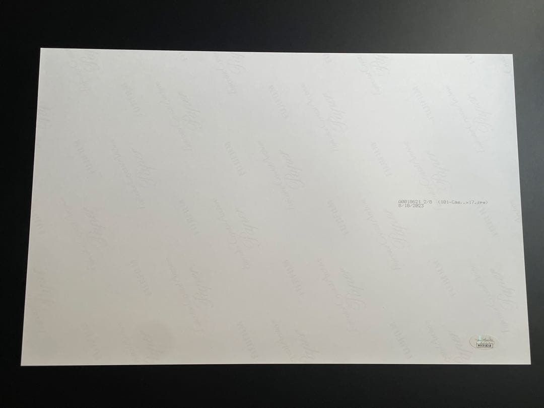 RWBY 直筆サイン入りポスター　JSA認定書付き　③