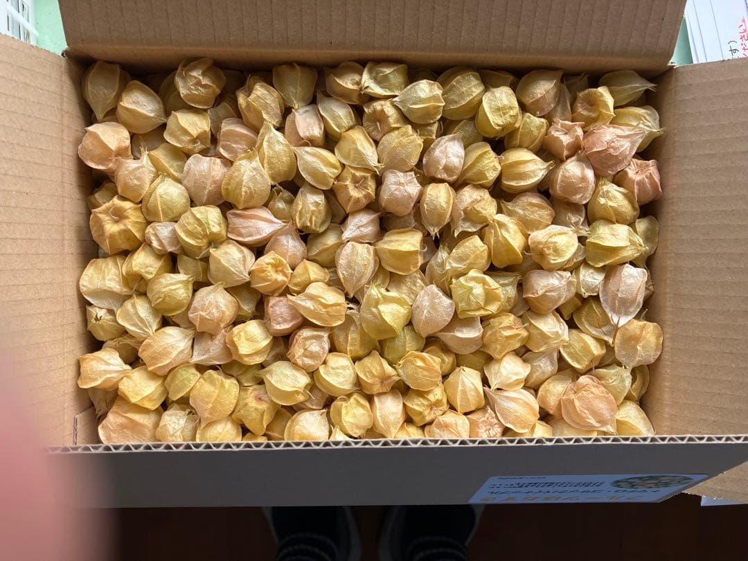 専用出品です　食用ほおずきトマチロコサックパイナップル2kg 9/15(月)発送