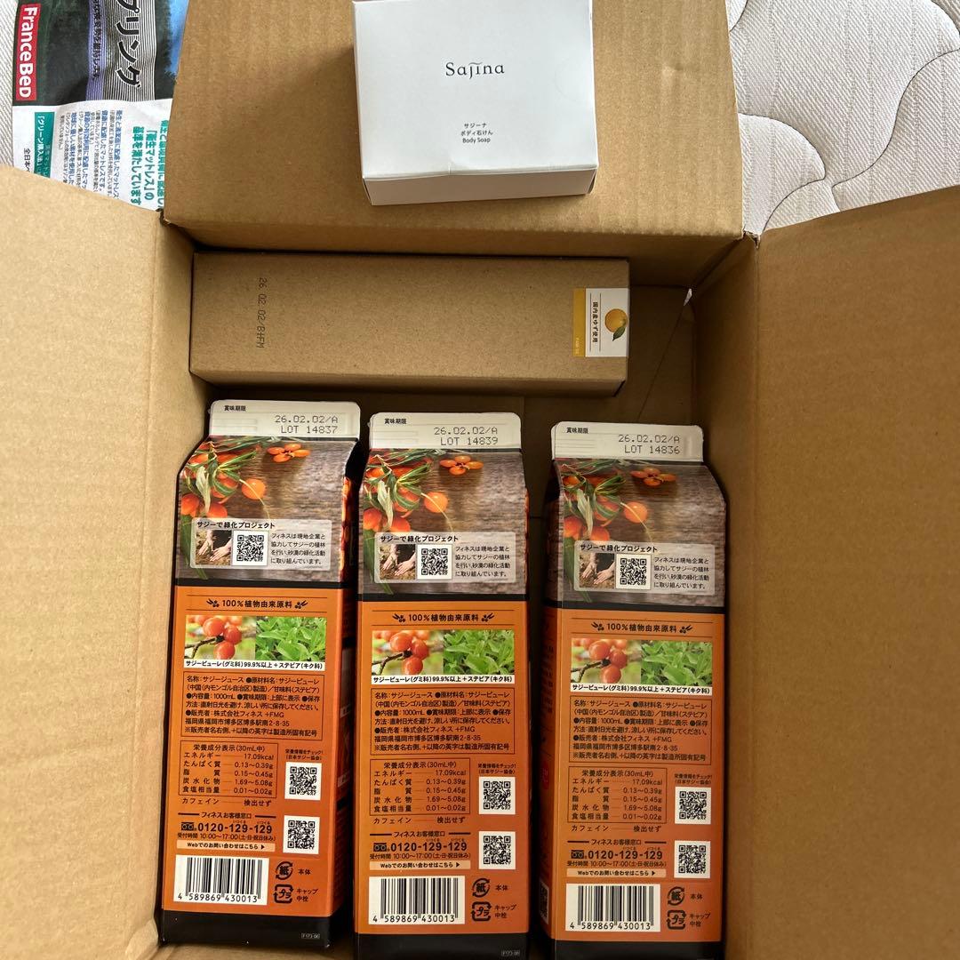 豊潤サジー　3本セット