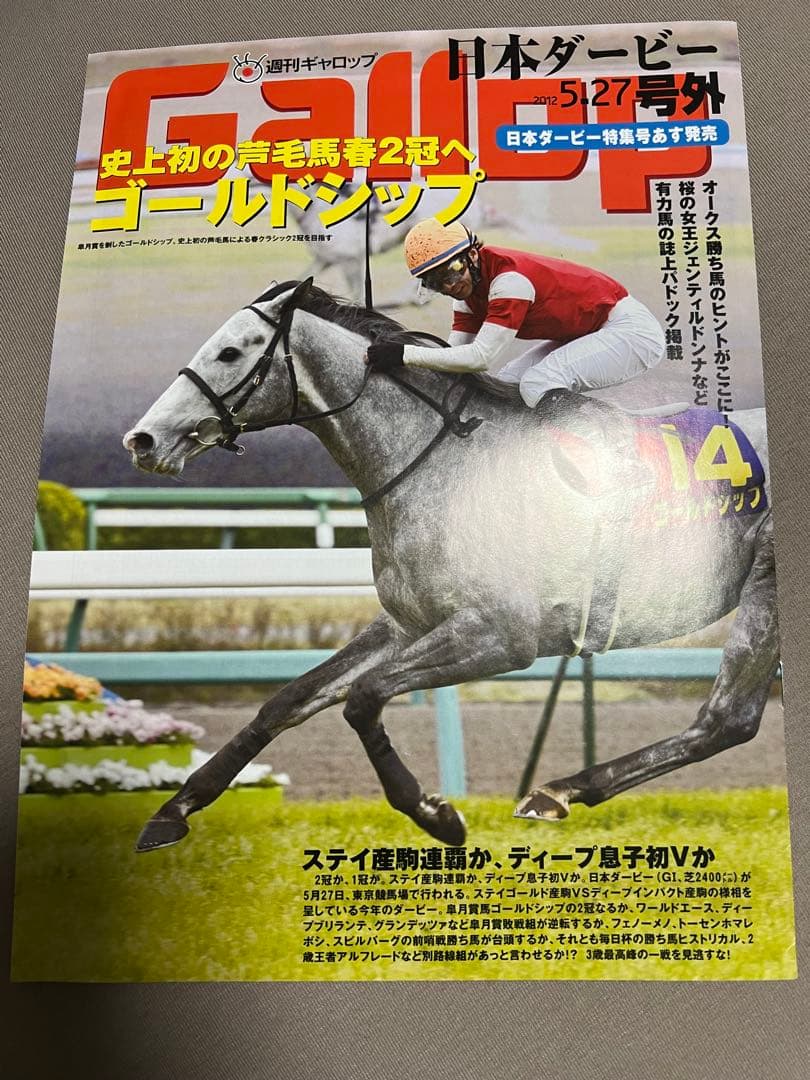 ゴールドシップ 激レア クリアファイル 8枚セット おがわじゅり おまけ付き