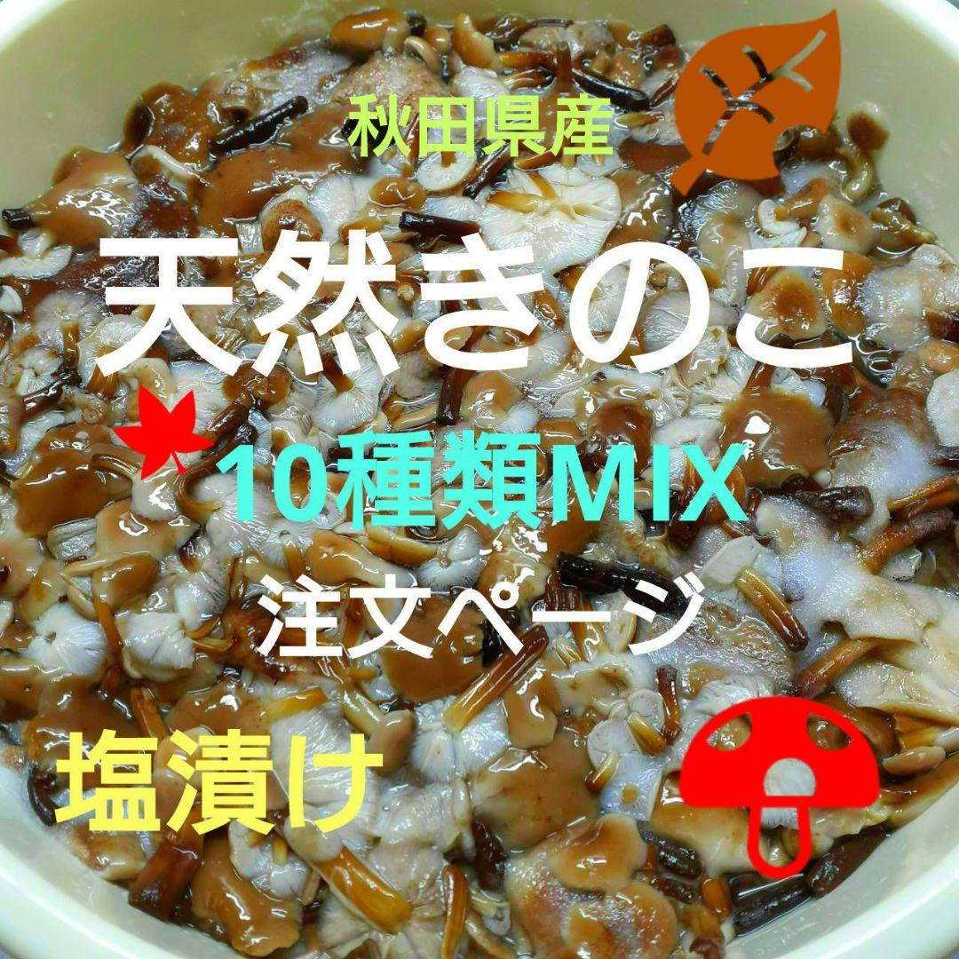 秋田県産 天然きのこ 10種類 MIX 塩漬け 塩蔵
