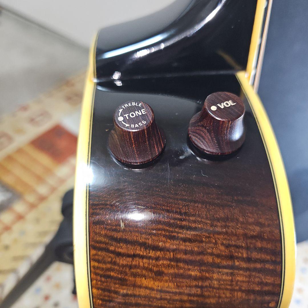 Aria.Elecod.FE-S80エレアコ珍品。