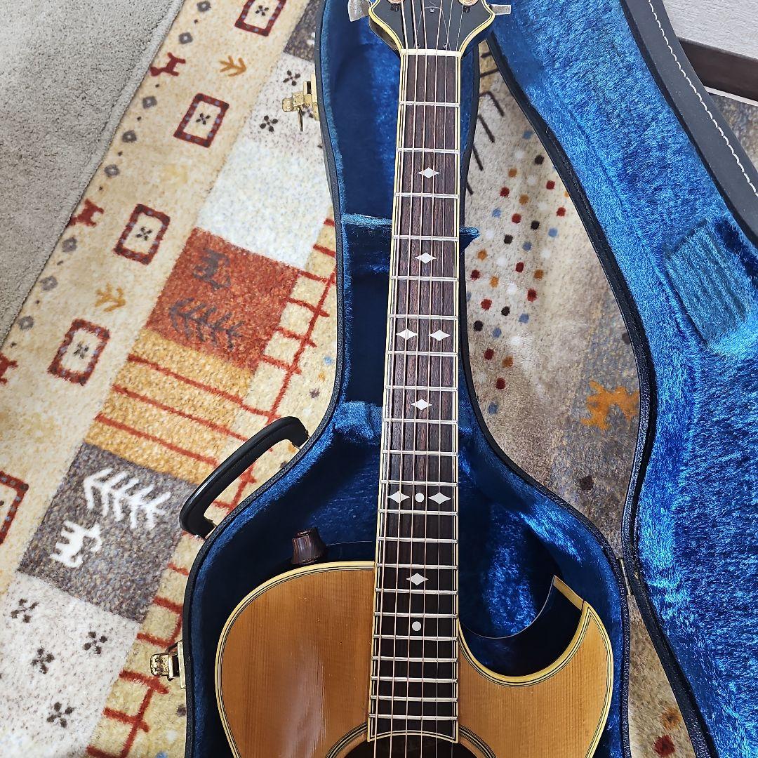 Aria.Elecod.FE-S80エレアコ珍品。