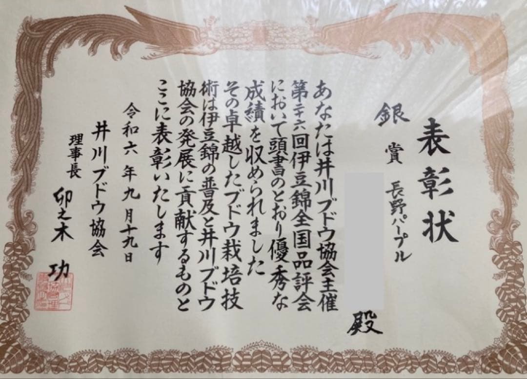 フラワー プロフ必読!!ナガノパープル2房シャインマスカット2房