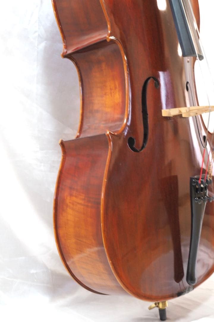 Carlo Giordano SC-240 チェロ カルロジョルダーノ