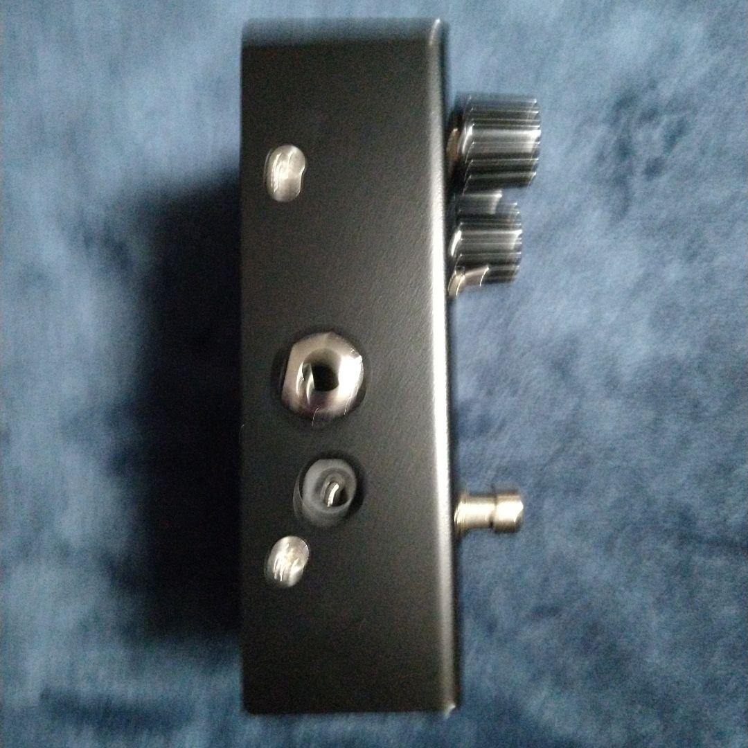 ギター Virtues Signe