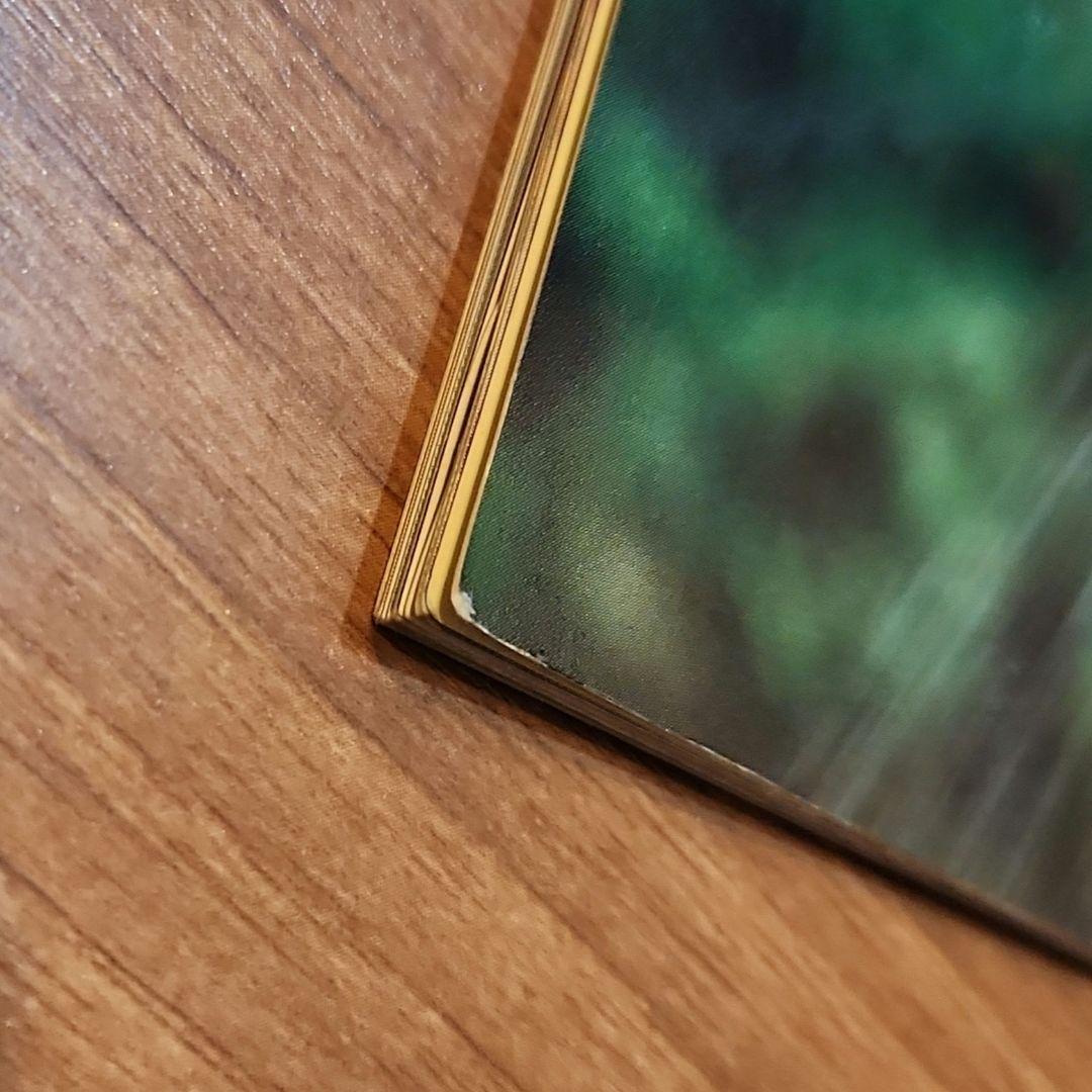 豊田真奈美　山田敏代　直筆サイン　写真集