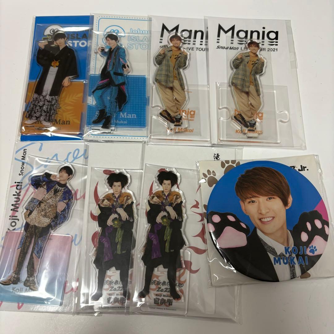 向井康二グッズ　まとめ売り　アクスタ写真ステフォ