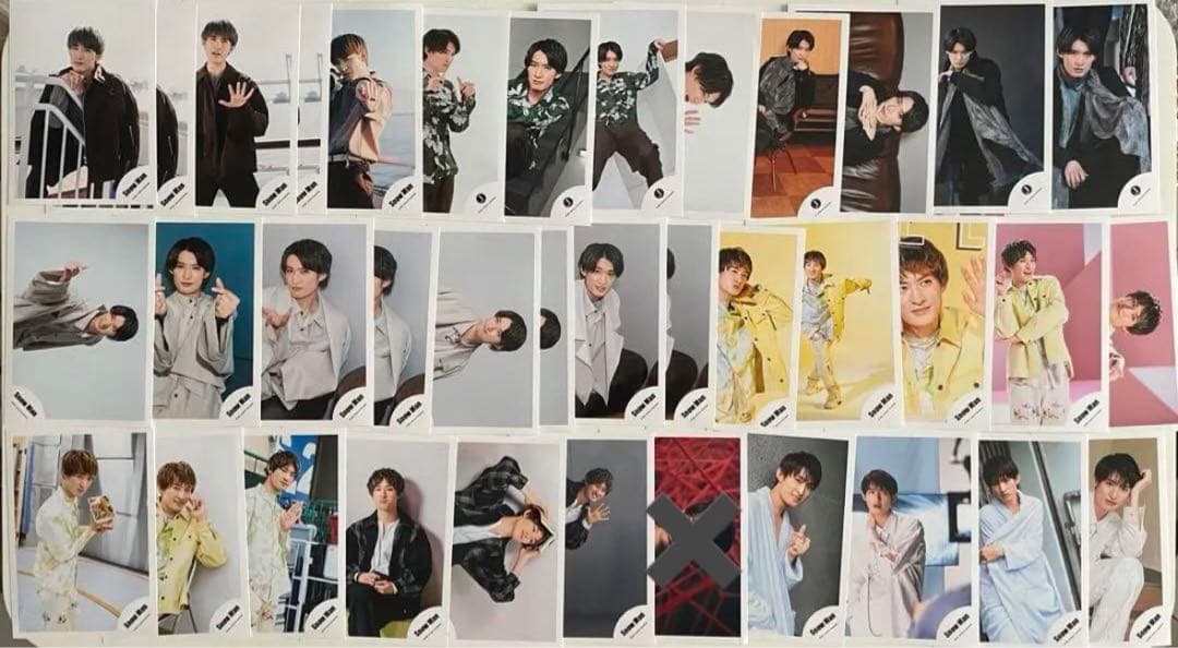 向井康二グッズ　まとめ売り　アクスタ写真ステフォ