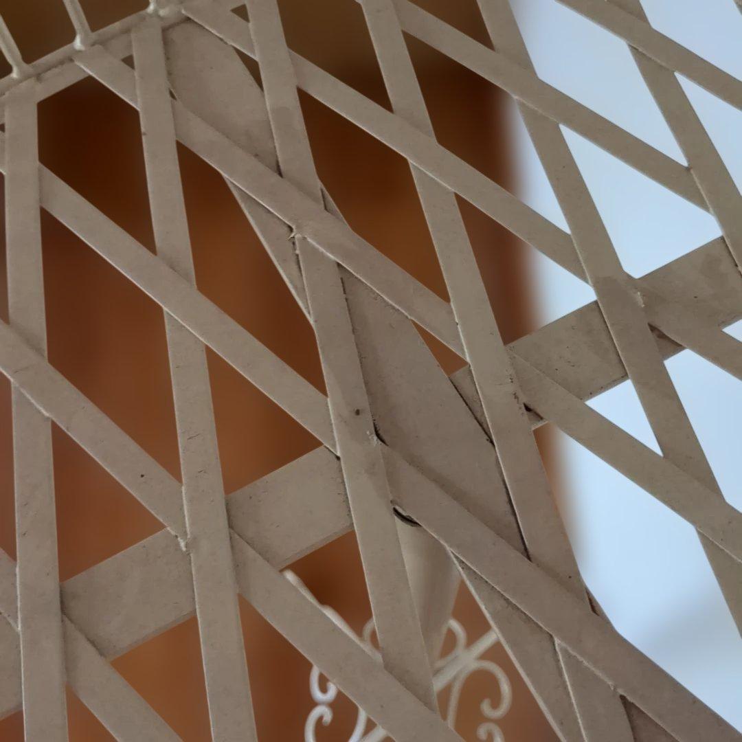 アイアン製レディーストルソー