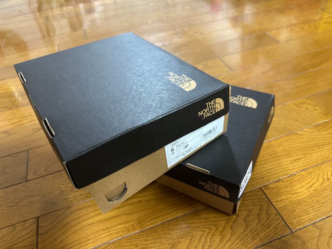 THENORTHFACEベビーブーツトドラー アルペン グロー II15.0双子