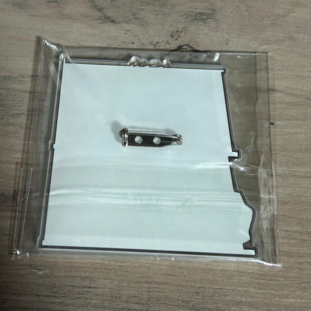 家庭教師ヒットマンREBORN! アクリルバッジ ザンザス XANXAS