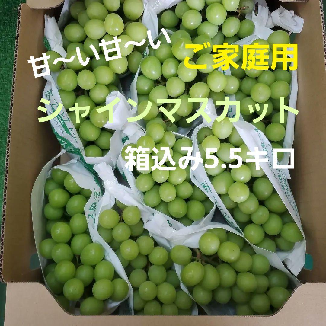 4️⃣ 山梨県産 シャインマスカット １０房入り 箱込み5.5キロ