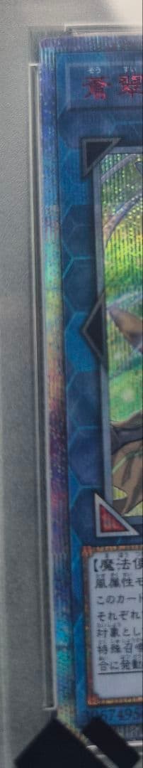 【PSA10】蒼翠の風霊使いウィン 20th