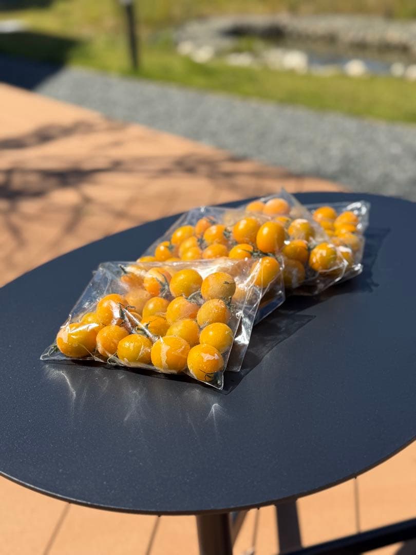 冷凍トマト ミニトマト イエローミミ 業務用 加工用 10kg