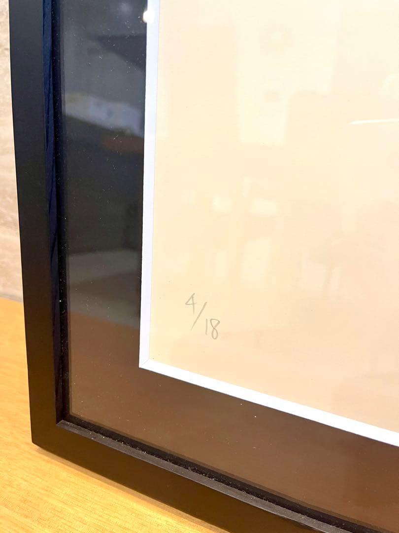 GIRUVI Dioscorea Elephantipes 亀甲竜