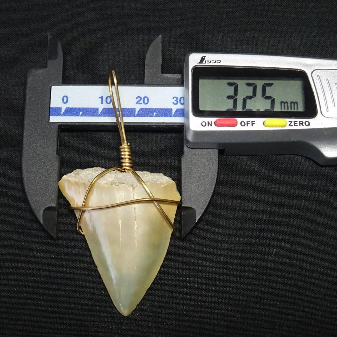 【値下】サメの歯のペンダントトップ
