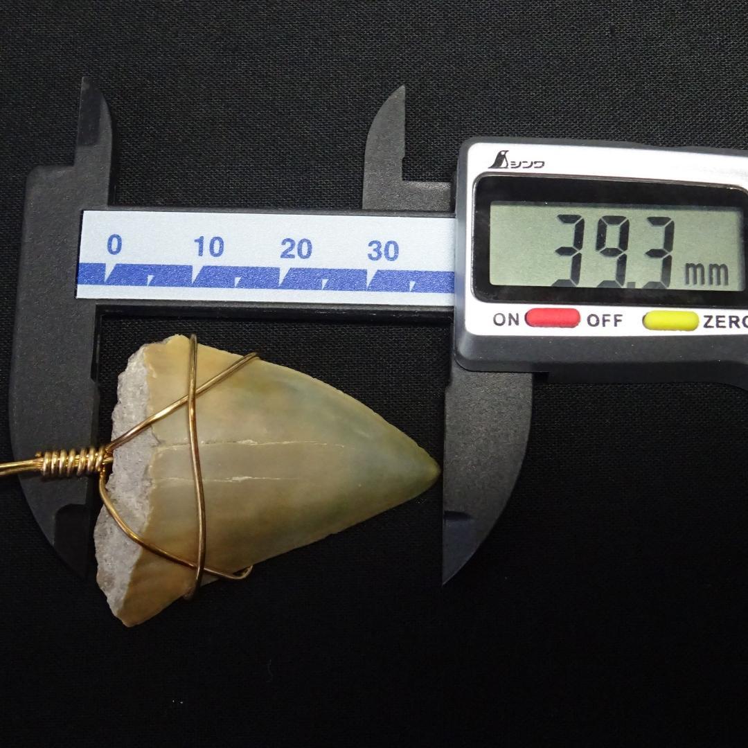 【値下】サメの歯のペンダントトップ