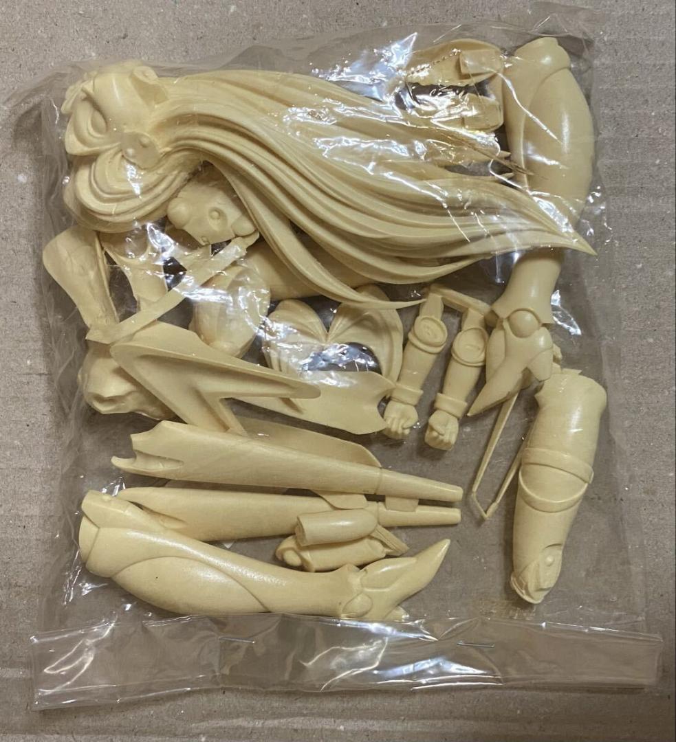 海洋堂 銀河お嬢様伝説ユナ リア ガレージキット