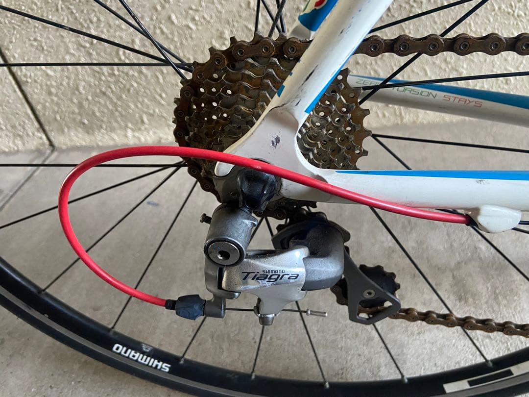 【直接の受け渡し】　チネリ　エクスペリエンス