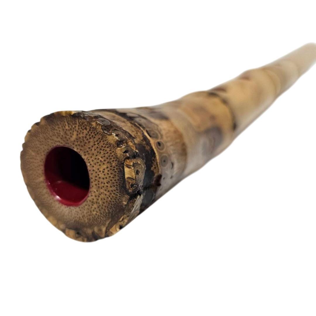 希少 尺八 琴古流 一朝 1尺8寸 5孔 銘あり 2印 根竹 二分割 和楽器 竹