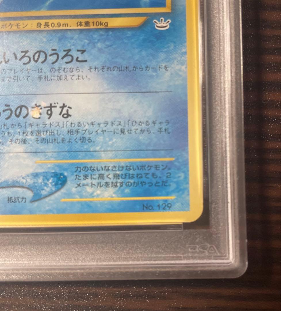 ひかるコイキング「ポケモンファンクラブ」 特製プロモ